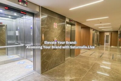 Elevate Your Brand: Assessing Your Brand with Saturnalia.Live