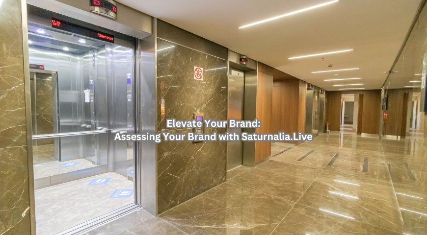 Elevate Your Brand: Assessing Your Brand with Saturnalia.Live